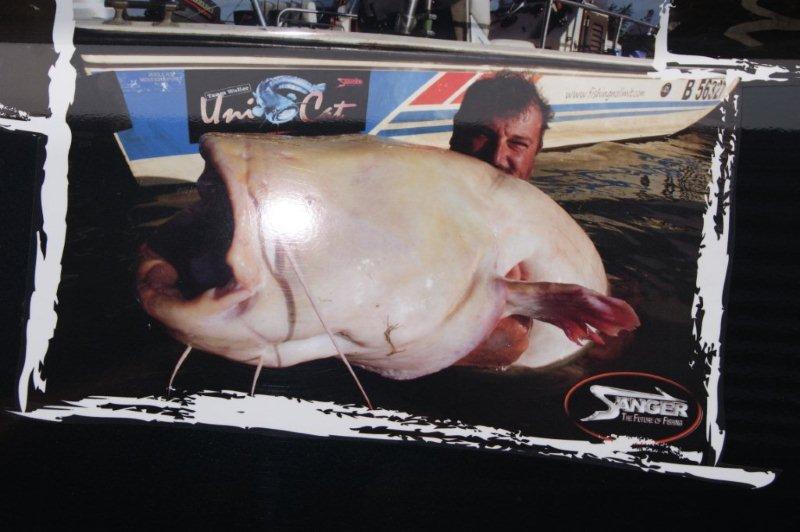 100 kg (le silure)